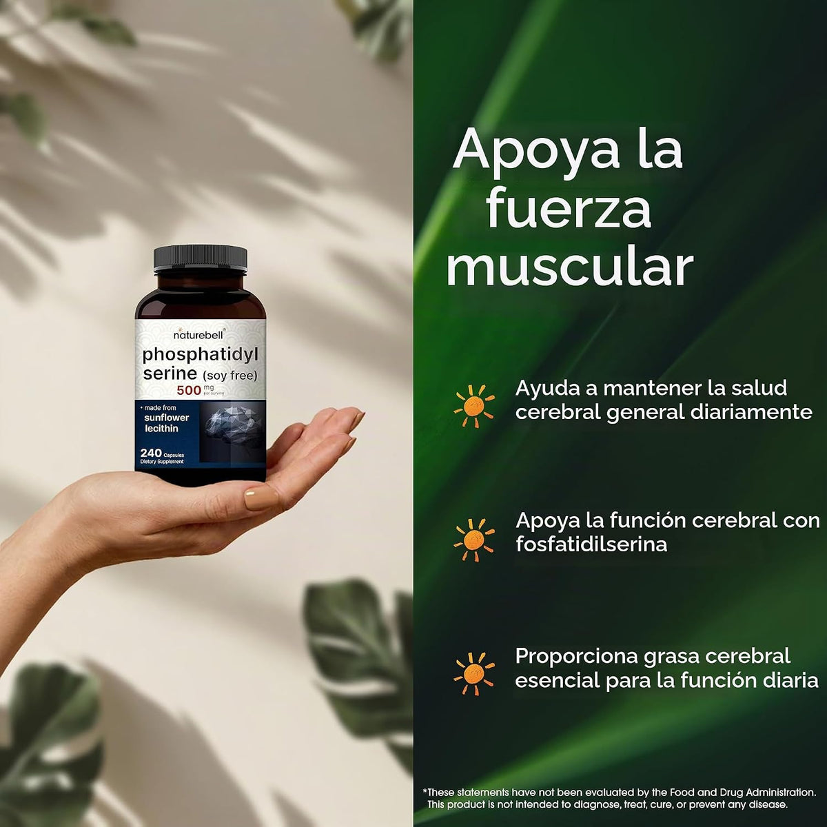 NatureBell Phosphatidylserine 500 mg – 240 Cápsulas