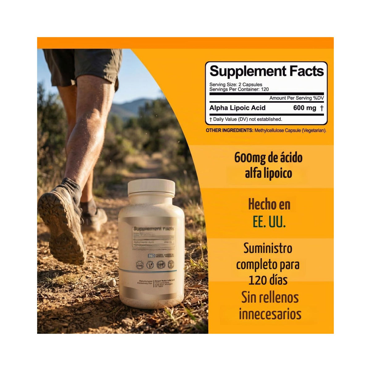 Smart Nutra Labs Alpha Lipoic Acid (ALA) 600 mg – 240 Cápsulas